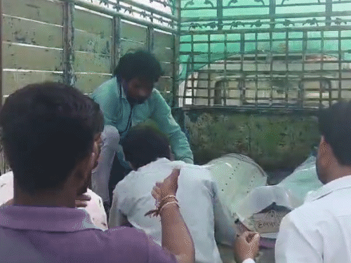 Tragedy Near Mehsana