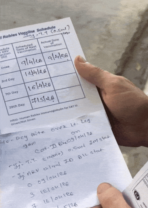 From Germany to Surat