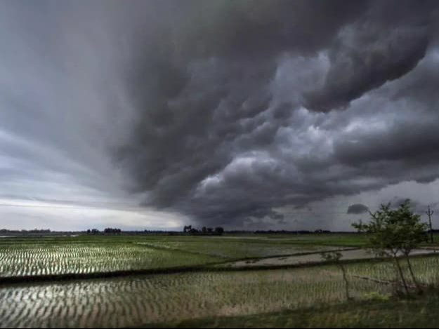 Monsoon Rain Forecast: 80cm Estimate | Season End Relief