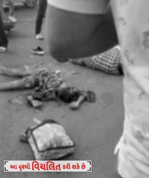 Horrific Highway Accident