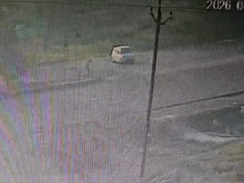 Horrific Highway Accident