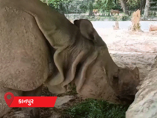 India Weather Update