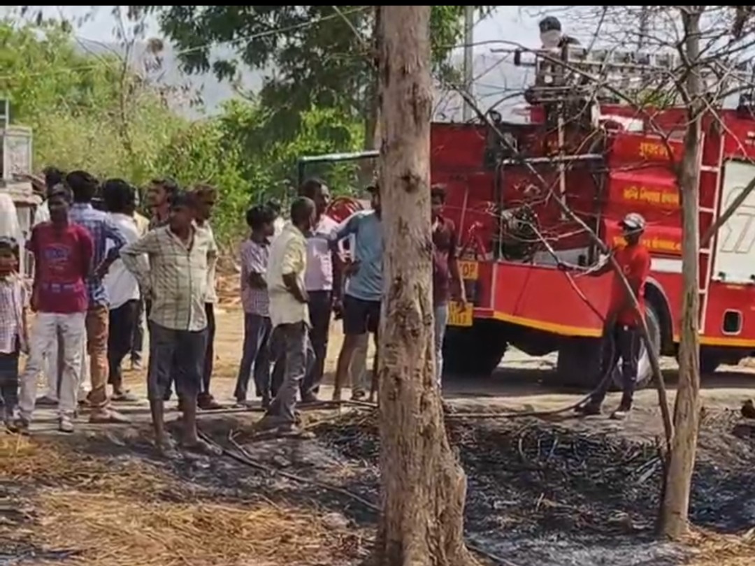 Halol Fire Brigade Controls Bakrol Village Forest Fire | Panchmahal News