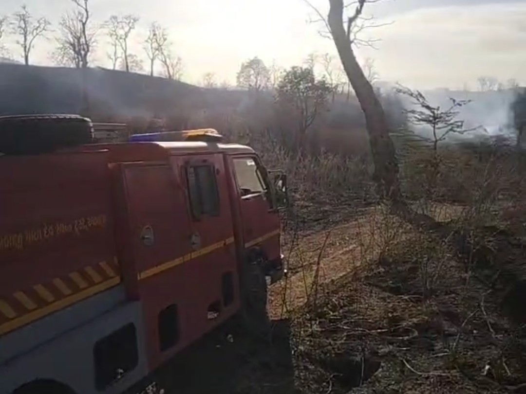 Ambaji Gabbhar Hills Fire: Fire Brigade Controls Blaze