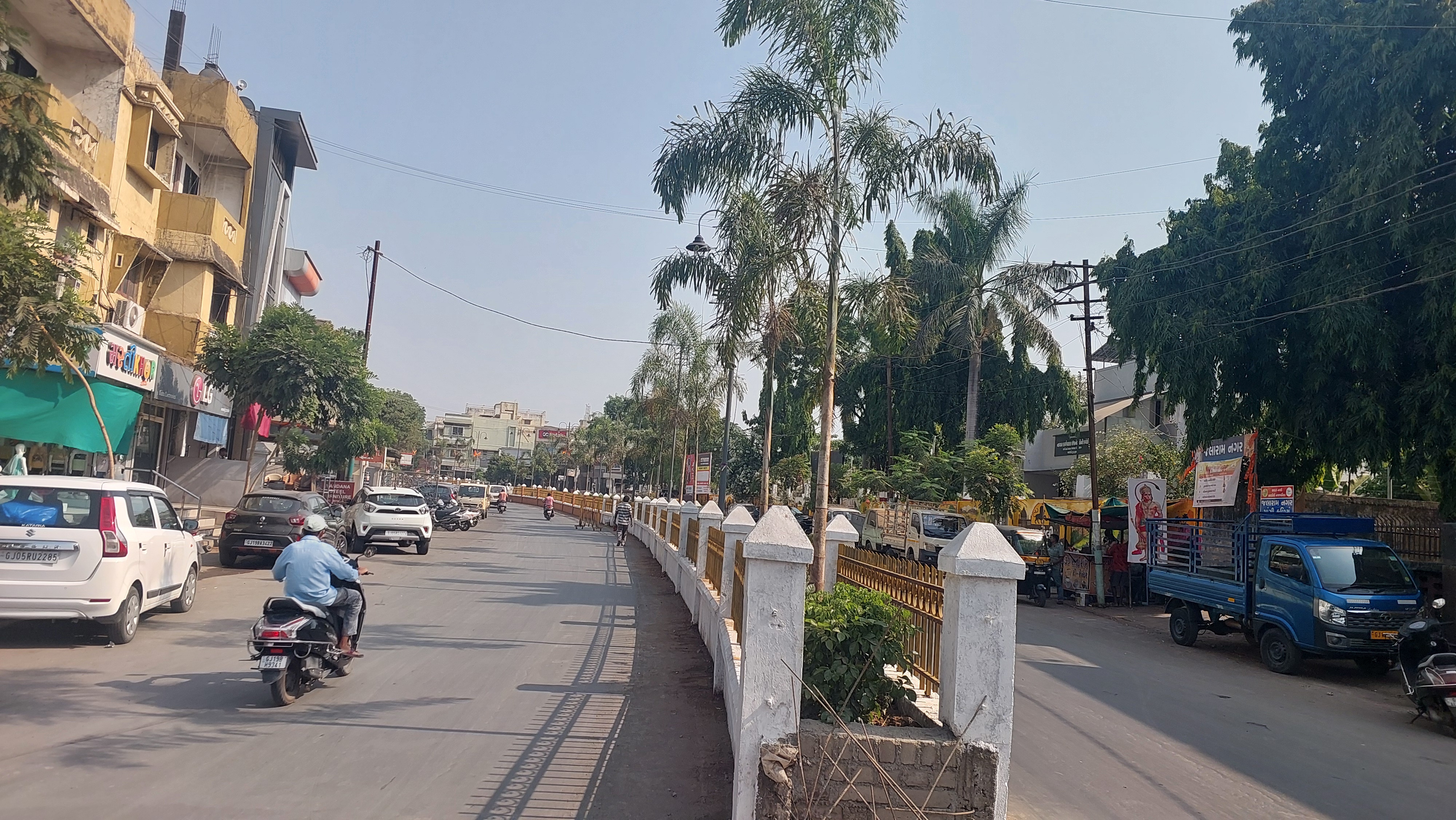 Lakhs of palm trees dried up in the iconic divider in Bardoli, now palm ...