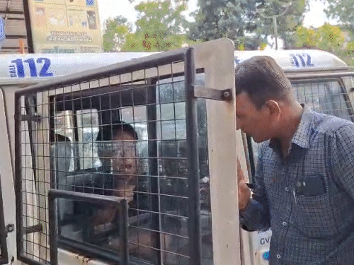 Give My Cart Back or I’ll Sell Liquor