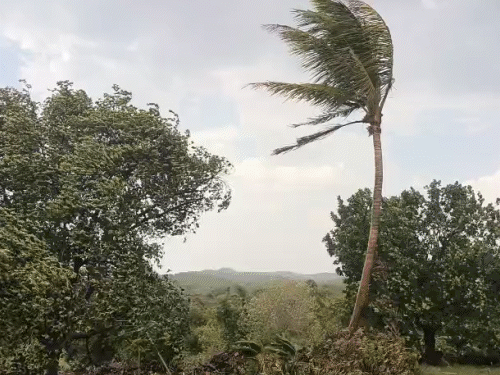 Gujarat Yellow Alert: Windy Weather & Unseasonal Rain Forecast | Weather Update
