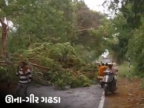 Weather Paradox in Gujarat