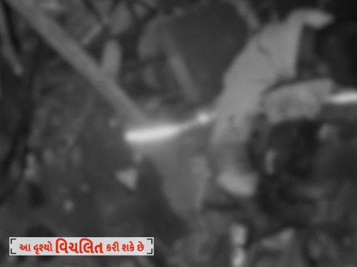 Tragedy Near Shankheshwar
