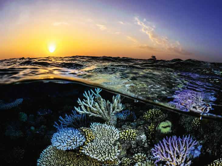 Gujarat Ocean Danger: Blue Sea Hidden Red Alert