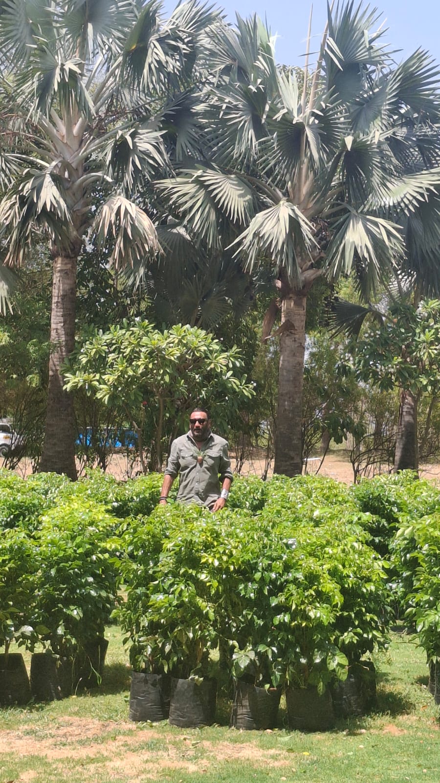 પ્રમોશન અને પર્યાવરણ જાગૃતિનો સંગમ દેખાયો.