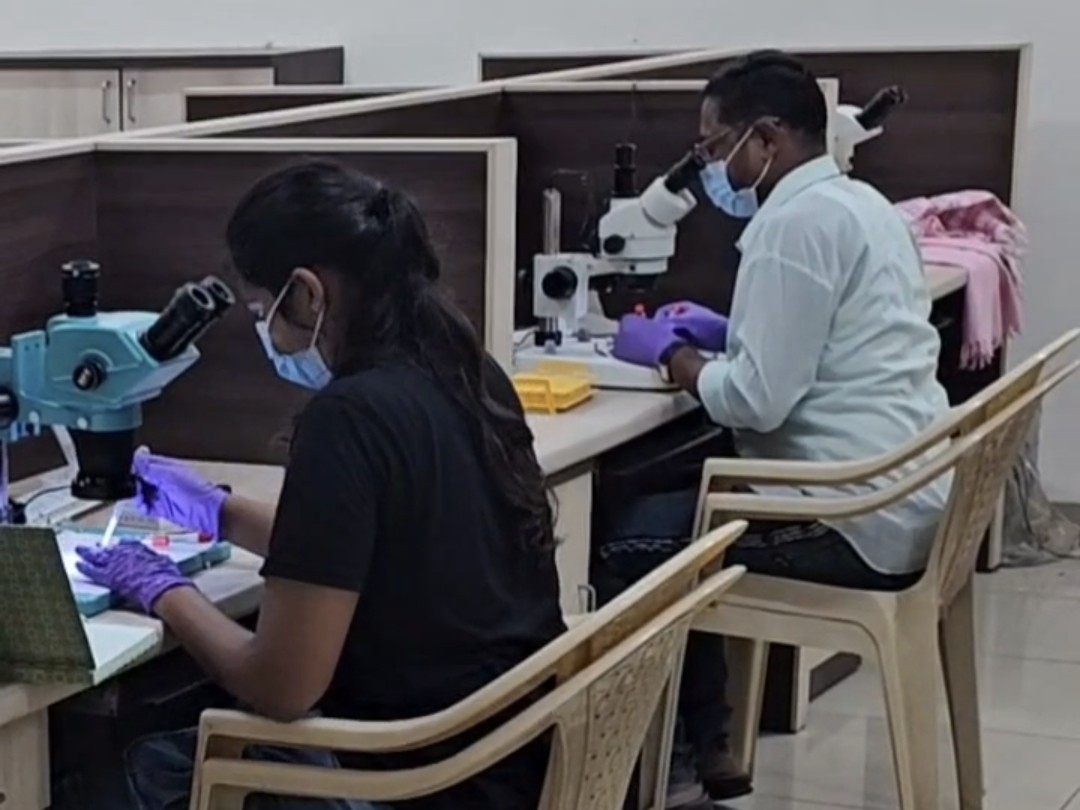 Panchmahal ICMR Survey for Disease Control | Vector-Borne Illness ...