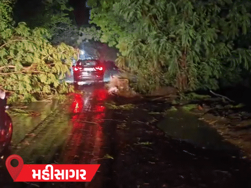 Pre-Monsoon Rain Lashes Gujarat