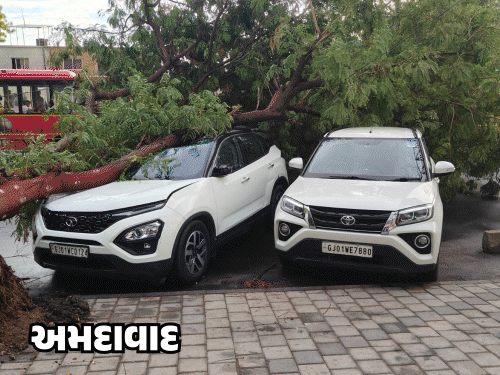 Pre-Monsoon Mayhem in Gujarat