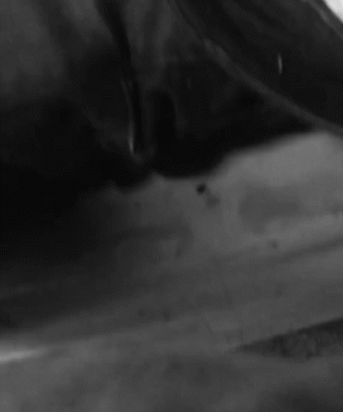 Brutal Murder in Vadodara