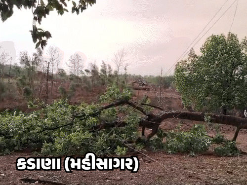 Pre-Monsoon Havoc in Gujarat
