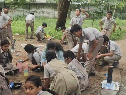 Big Relief for Parents