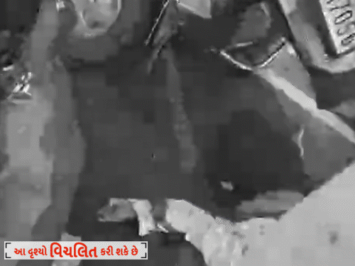 Rajkot Shocker