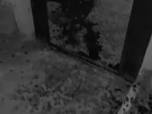 Shocking Crime in Rajkot