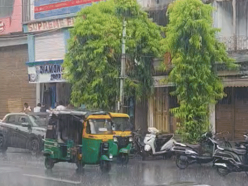 Vadodara First Rain: Farmers Cheer, Motorists Face Trouble