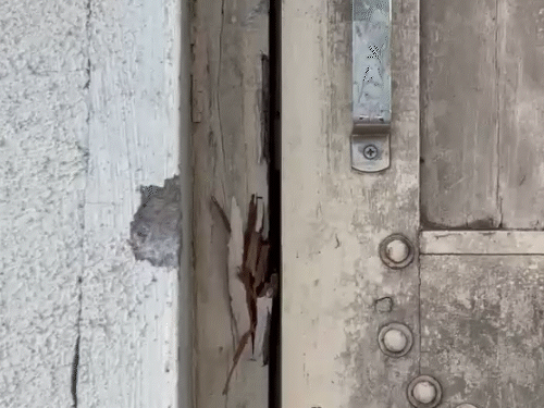 Sensational Heist in Rajkot
