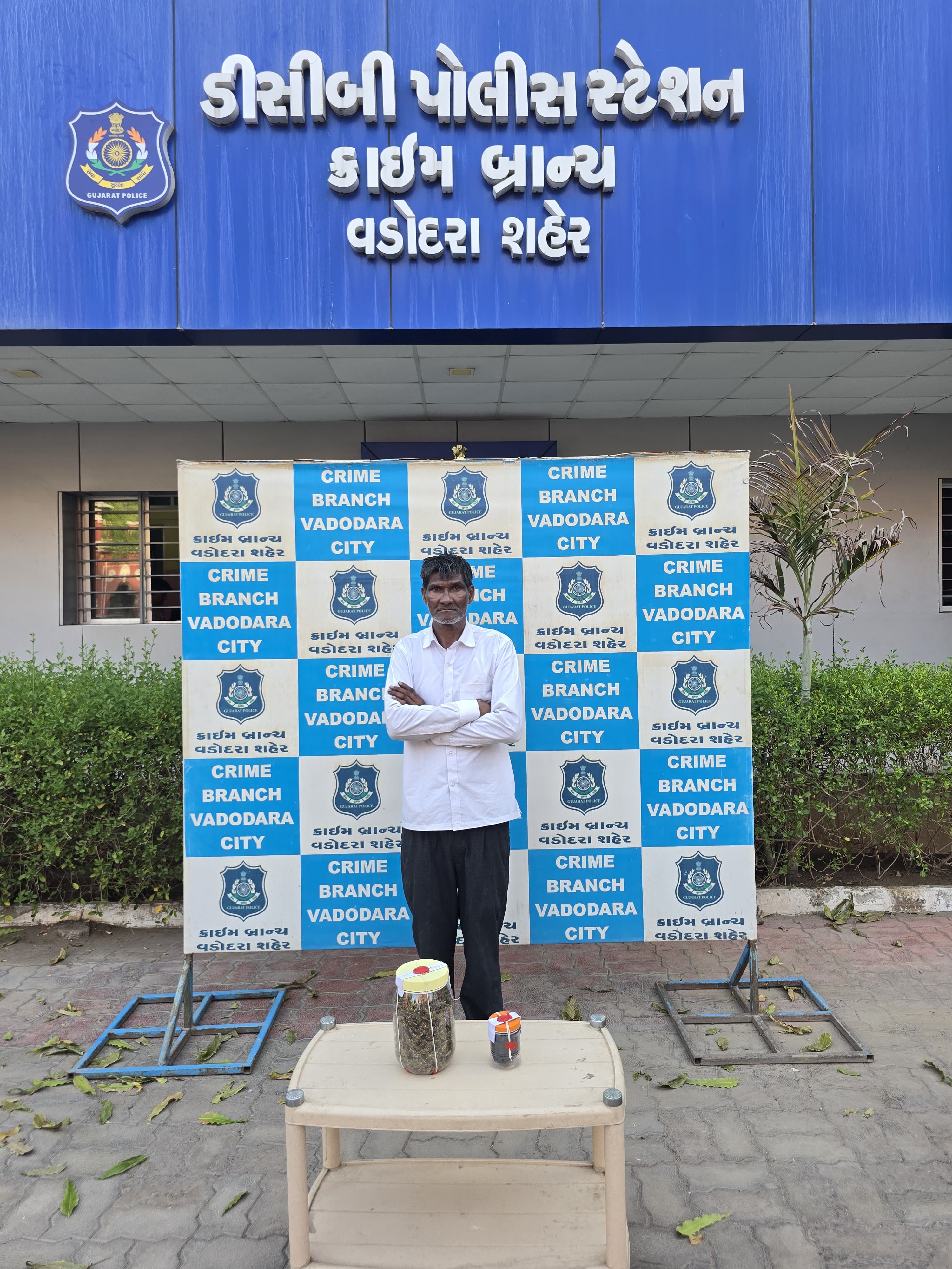 Vadodara Police Crackdown on Drugs | Ganja Seized, Accused Nabbed