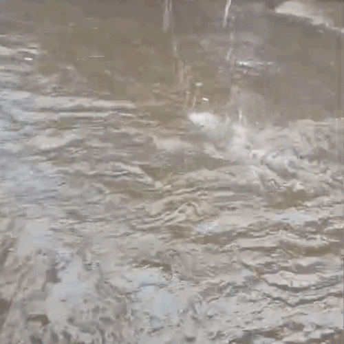 Gujarat Monsoon