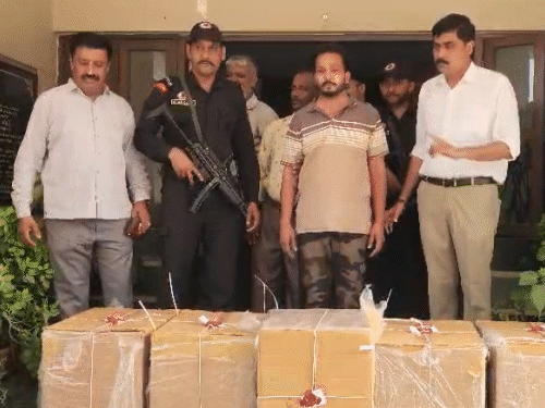 Major Crackdown