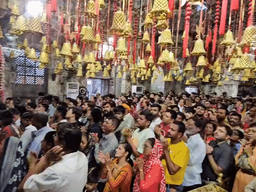 અંબાજી મંદિર પરિસરને રંગબેરંગી અને સુગંધિત ફૂલોથી શણગારવામાં આવ્યું
