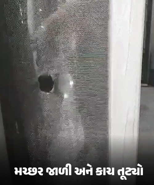 Vadodara Firing Case