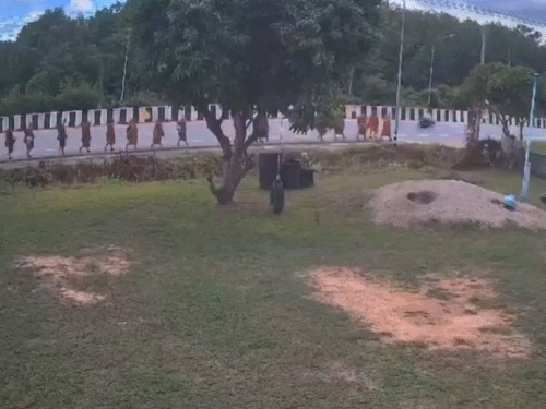 Tragedy in Thailand