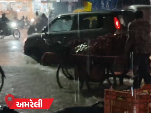 Gujarat Rain Alert