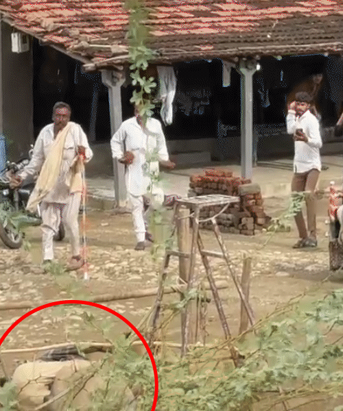 Bhavnagar Shocker