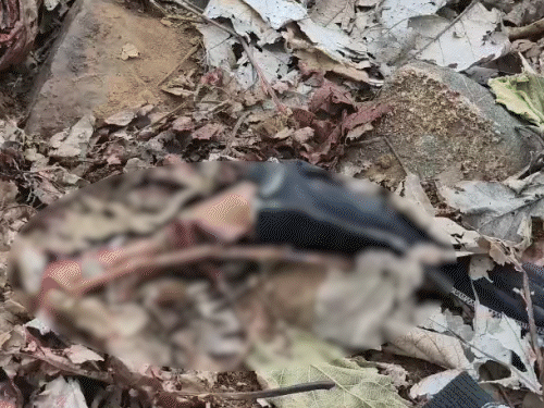 Tragedy at Girnar
