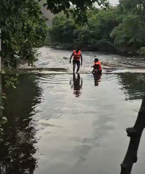 Tragedy at Polo Forest