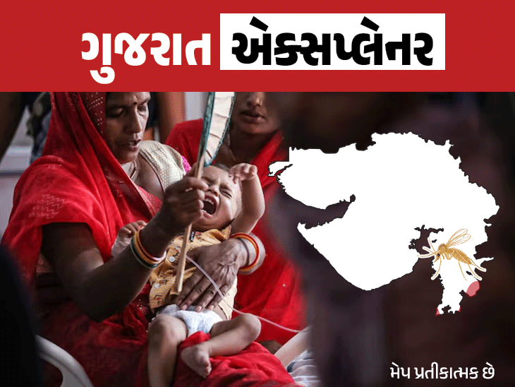 Chandipura Virus Threat; Is Sand Fly Present In Gujarat Cities?