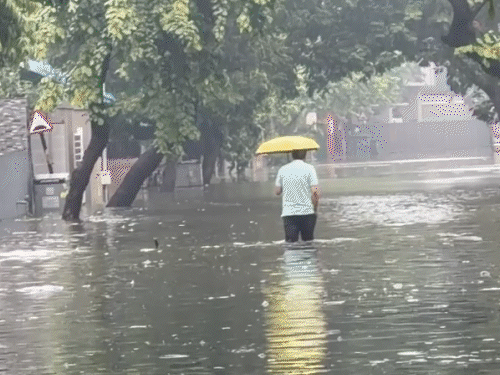 Heavy Rains Paralyze Ahmedabad