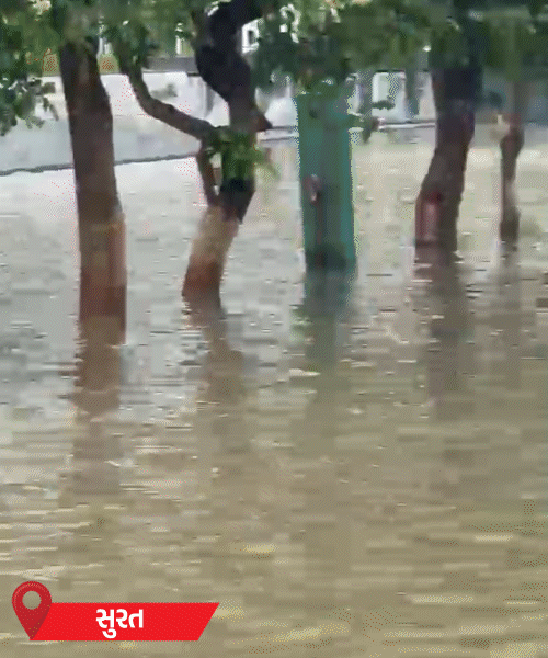 Gujarat Rain Fury