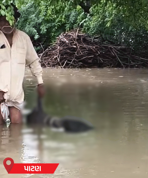 Flood Fury in Gujarat