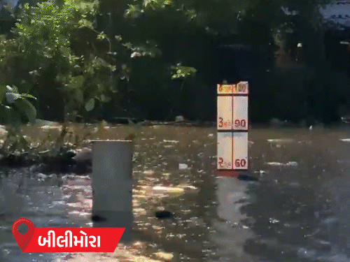 Heavy Rains Batter Gujarat