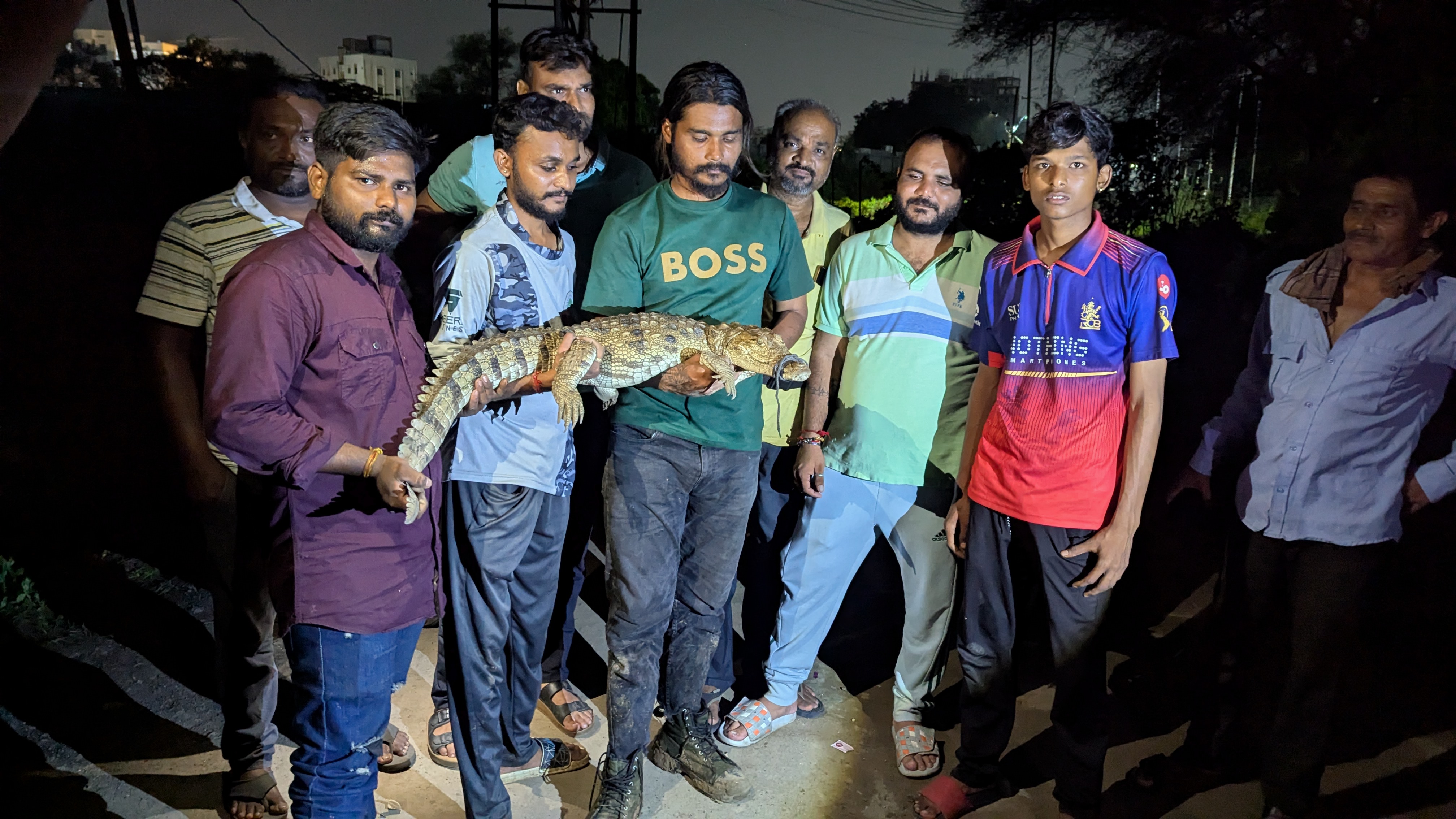 મગરના બચ્ચાને વન વિભાગને સુરક્ષિત રીતે સોંપાયો.