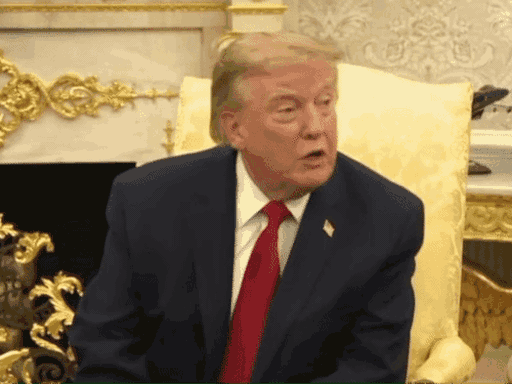Trump Praises India’s Election System: