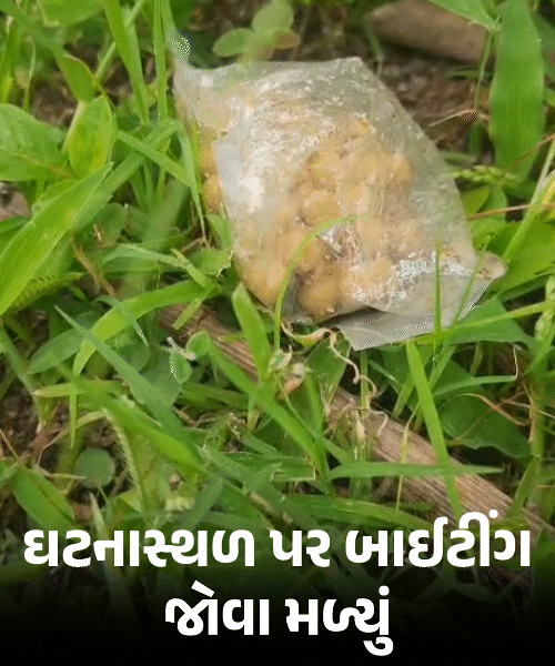 Bhavnagar Hooch Tragedy