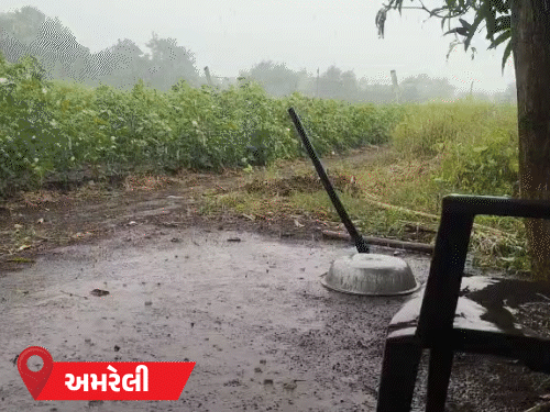 Gujarat Weather Update: