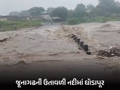 Gujarat Rain