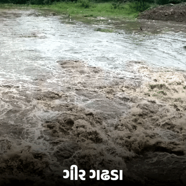Monsoon Fury Returns