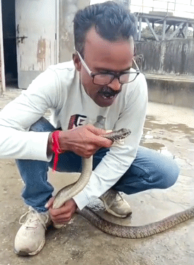 Heroic Rescue