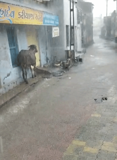 Gujarat Monsoon Reaches