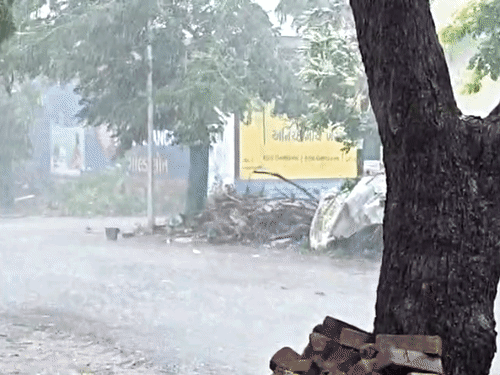 Gujarat Monsoon Reaches
