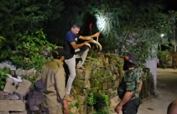 Python Rescued in Junagadh | Forest Dept Relocates Snake Safely